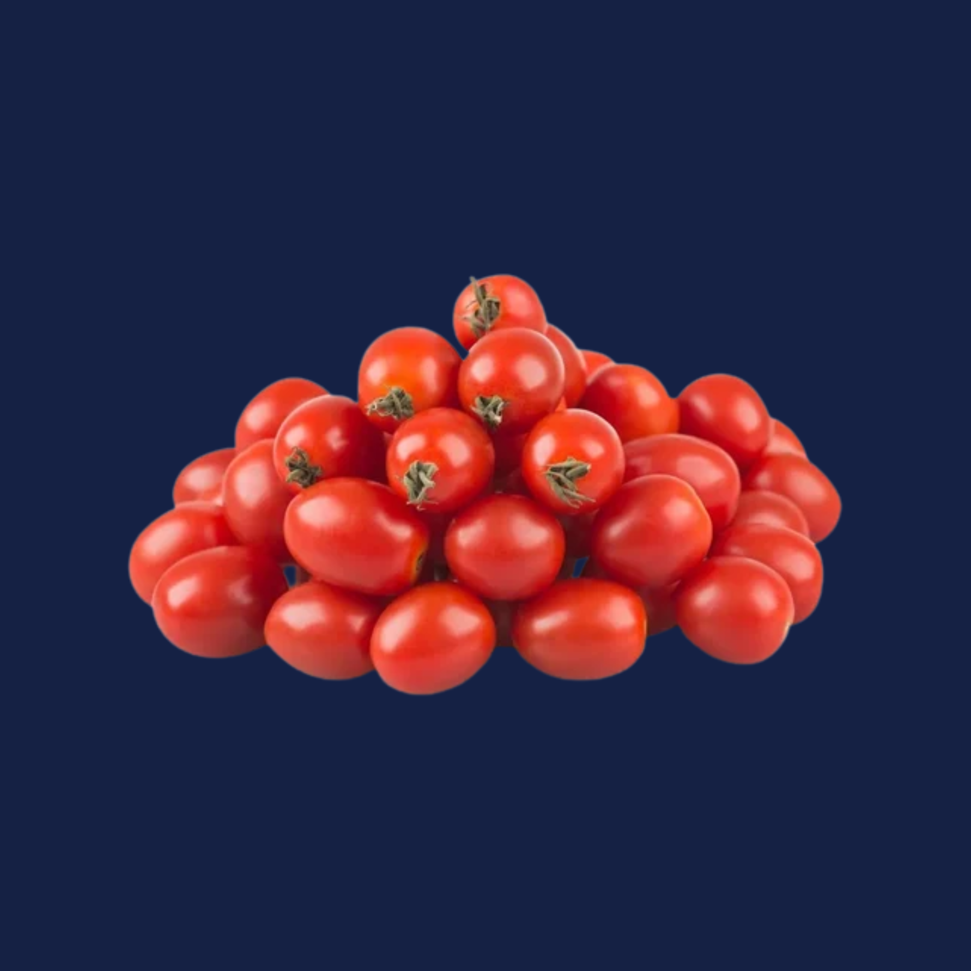 Fresh Tomatoes